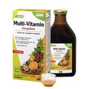 Salus Multi-Vitamin Energetikum 500ml