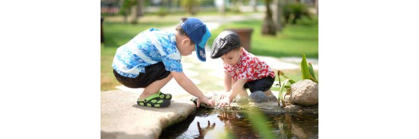 Holle Snacks for Kids