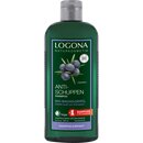 Logona Anti-Dandruff Shampoo Organic Juniper Oil 250ml