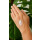 Weleda Hand- und Nagelcreme Citrus 50ml