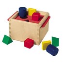 Selecta Dexterity Toy Sorting Box 1pc.