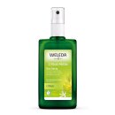 Weleda Citrus Deodorant 100ml