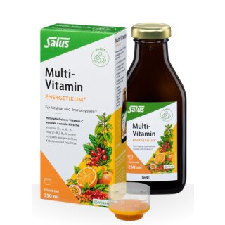 Salus® Multi-Vitamin Energetic 250ml