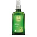 Weleda Birke Cellulite-Öl