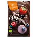 Landgarten Organic Berries in a Mix of Chocolate 50g