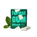 Forest Gum Mint 20g