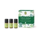 Primavera Set Fragrant Forest Power 1pc.