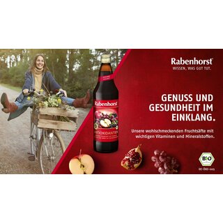 Rabenhorst Antioxidants Fruit Juice 125ml