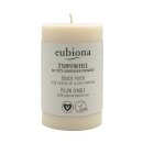 Eubiona Pillar Candle 100% Canola Wax 1pc.