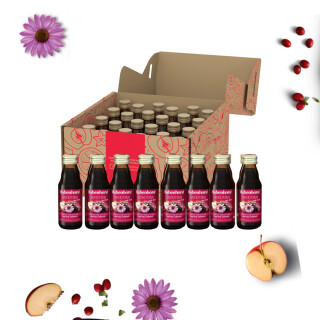 Rabenhorst Protect with Zinc 125ml 24 pieces (€ 1,29/pc.)